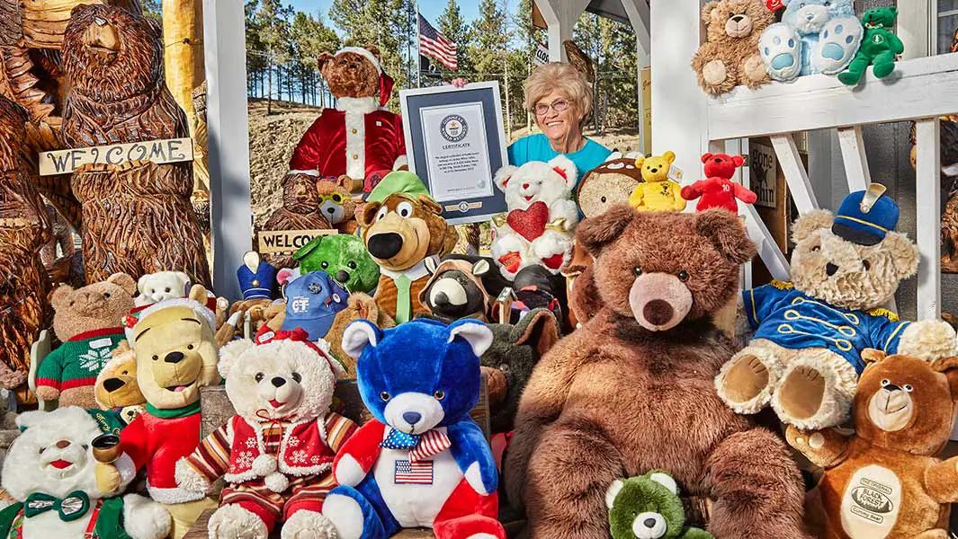 Video: Bestaune die weltgrößte Teddybär-Sammlung
