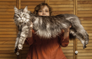 GWR-Home-Story: Robin Hendrickson über ihr Leben mit Stewie, der längsten Hauskatze