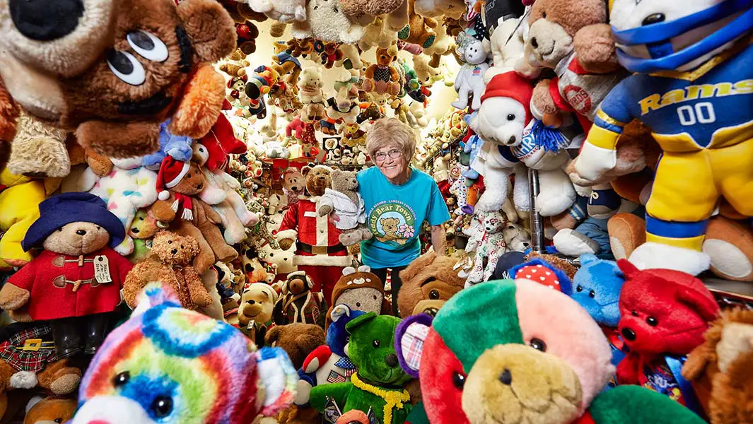 Teddy Bear Collection Thumbnail