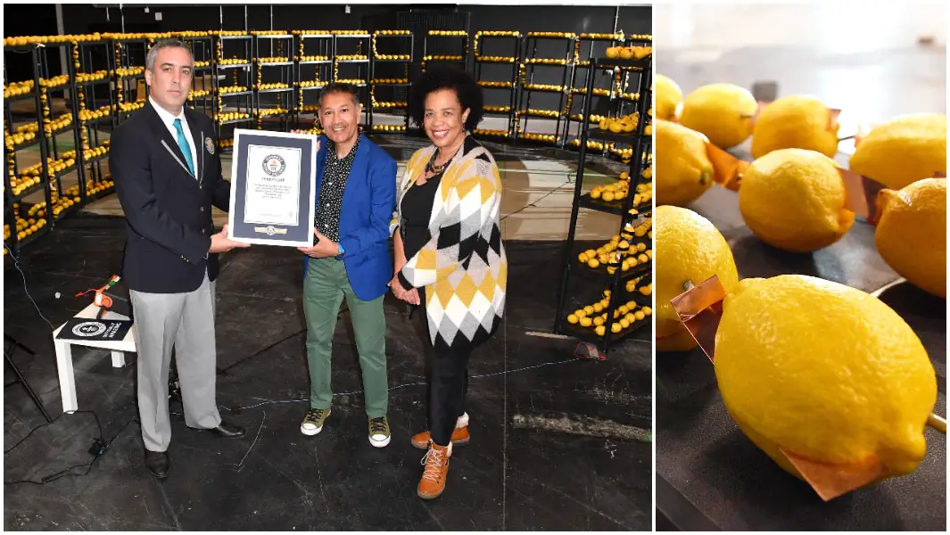 largest fruit battery with adjudicator and lemon close up
